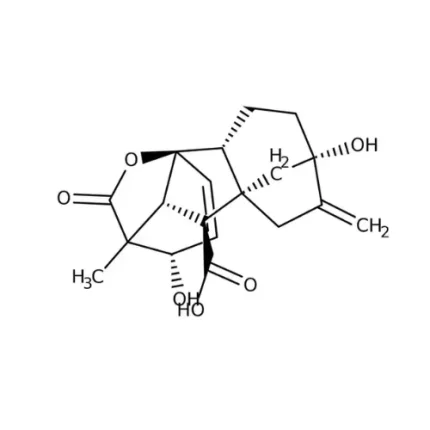 Gibberellic Acid