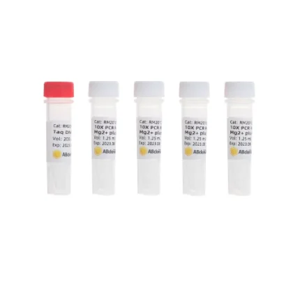 Taq DNA Polymerase