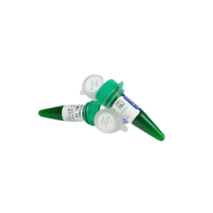 PCR Master Mix