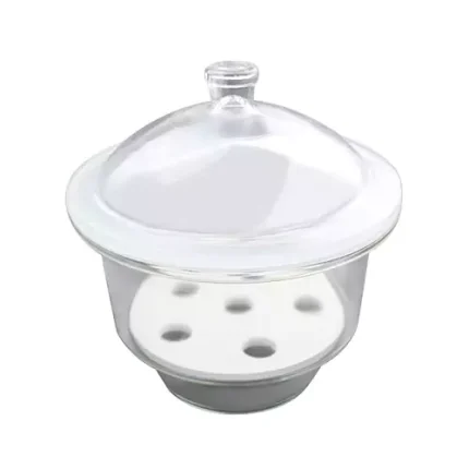 Plain Desiccator