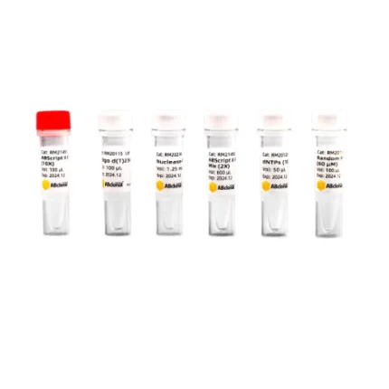 cDNA Synthesis Kit