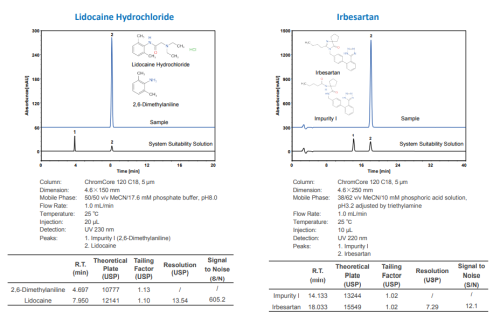 C18 HPLC Column