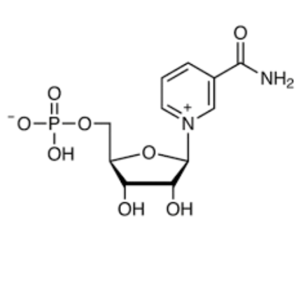(NMN)ß-Nicotinamide Mononucleotide
