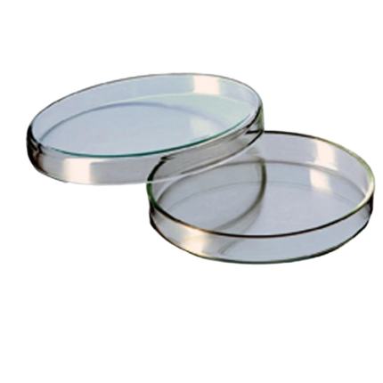 Glass Petri Dish
