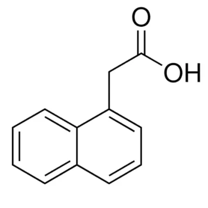 1-Naphthylacetic Acid