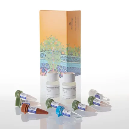 qPCR Master Mix