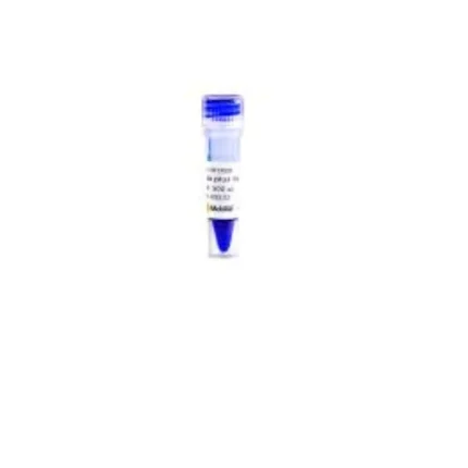 100 bp DNA Ladder