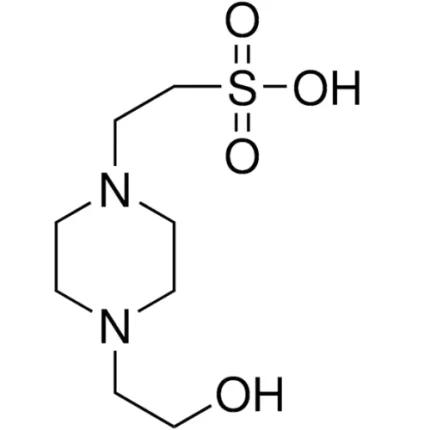 HEPES Buffer