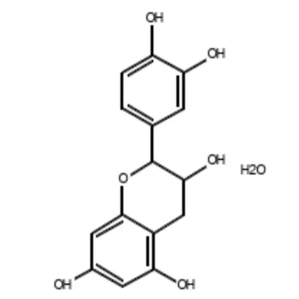 Catechin hydrate