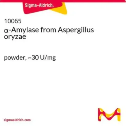 α-Amylase from Aspergillus oryzae